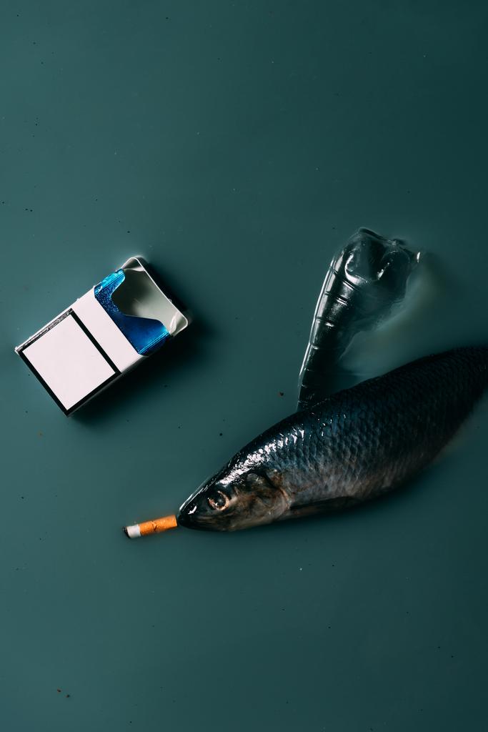 bovenaanzicht van vis, plastic fles en sigaret stroomt in water, bescherming van het milieu concept - Foto, afbeelding