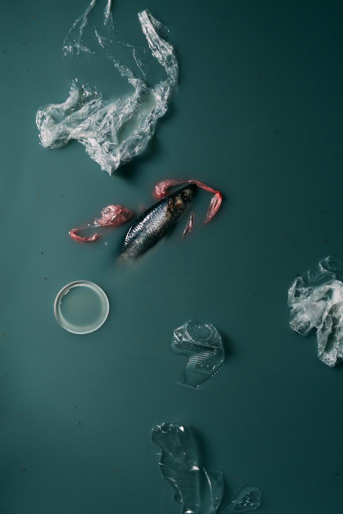 Balık ve su, ekoloji ve çevre koruma akan plastik çöp üstten görünüm - Fotoğraf, Görsel