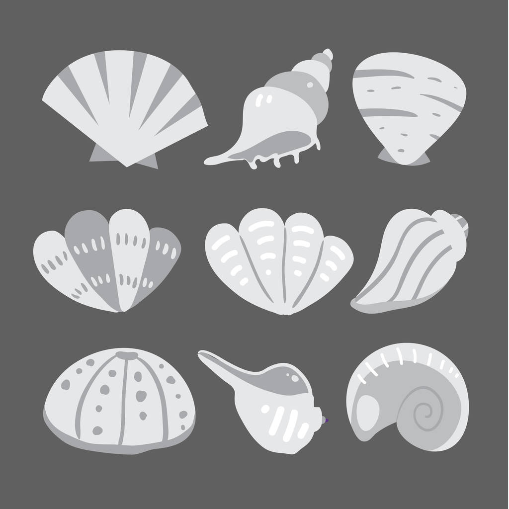shell vector collection design, seashell vector collection design - Vector, Image