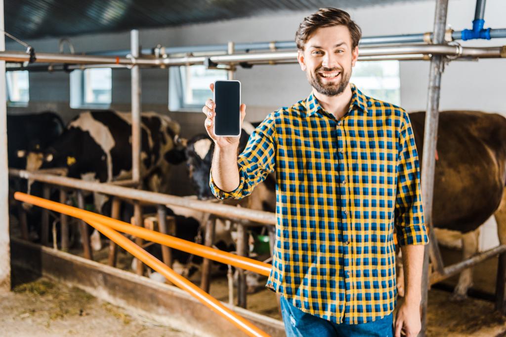 pohledný farmář ukazující smartphone s prázdnou obrazovkou ve stáji - Fotografie, Obrázek