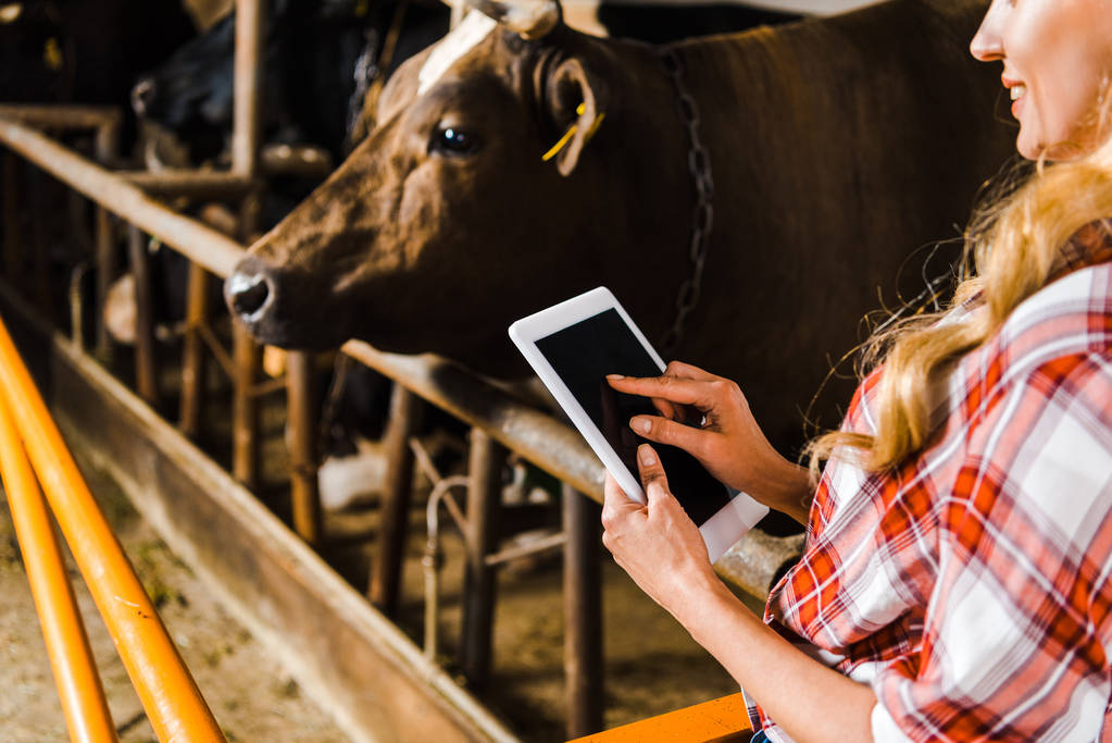 cropped image of farmer using tablet in stable - Photo, Image