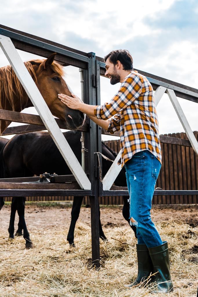 vista lateral de bonito sorriso agricultor palmando cavalo no estábulo
 - Foto, Imagem