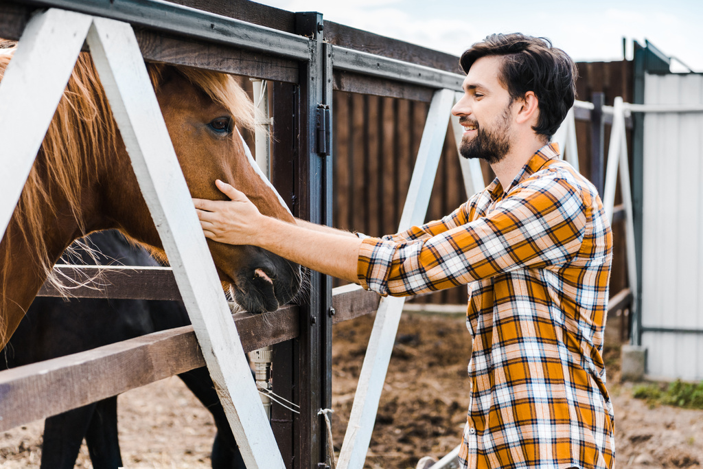 vista lateral do belo agricultor sorrindo palmando cavalo marrom no estábulo
 - Foto, Imagem