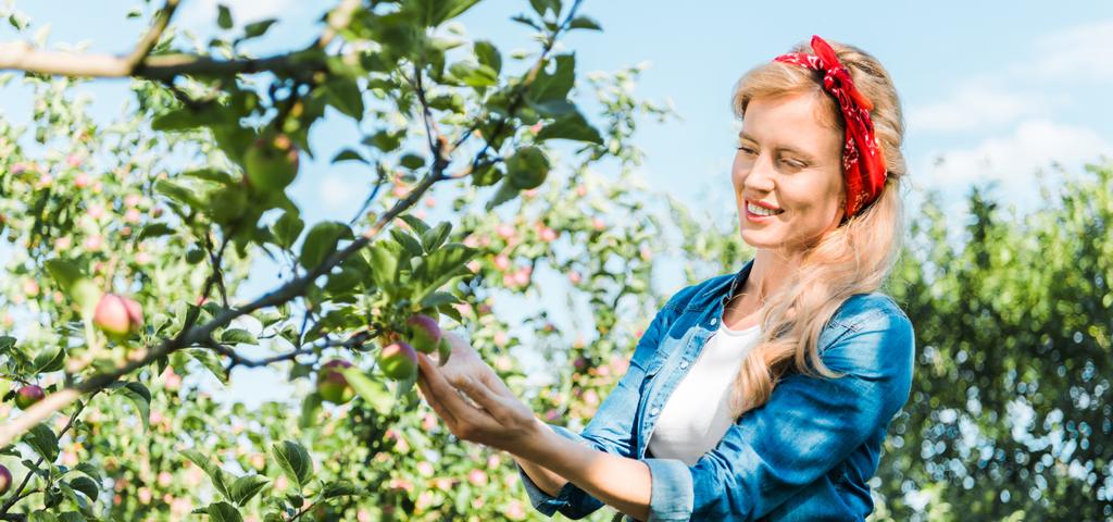 atrakcyjne rolnik dotykając apple na drzewa w ogrodzie  - Zdjęcie, obraz