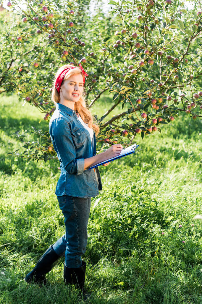 attractive farmer examining harvest in apple garden at farm  - Photo, Image