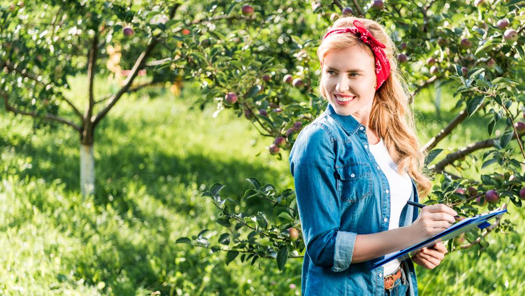 χαμογελαστός αγρότης εκμετάλλευση πρόχειρο στο apple κήπο στο αγρόκτημα και αναζητούν μακριά  - Φωτογραφία, εικόνα
