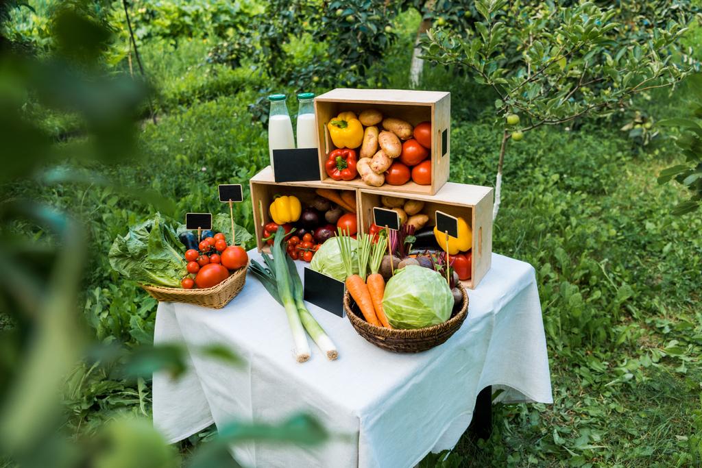 kypsiä herkullisia ekologisia vihanneksia laatikoissa viljelijämarkkinoilla
 - Valokuva, kuva