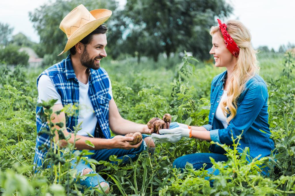 feliz pareja de agricultores sosteniendo papas maduras en el campo en la granja
 - Foto, Imagen