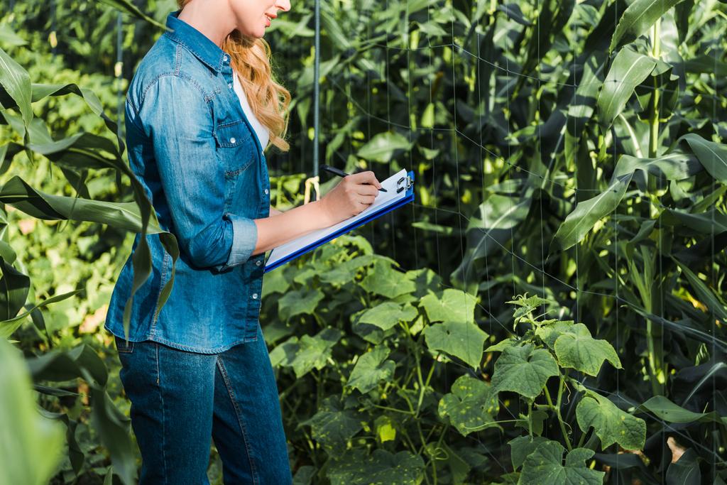 image recadrée de l'agriculteur vérifiant la récolte avec presse-papiers dans le champ à la ferme
  - Photo, image