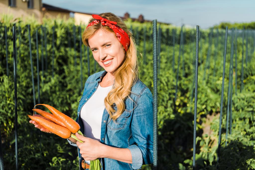 atractivo agricultor sosteniendo zanahorias orgánicas en el campo en la granja y mirando a la cámara
 - Foto, Imagen