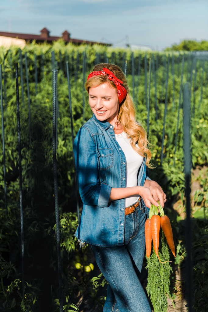 Attraktiver Landwirt mit Bio-Karotten auf dem Feld - Foto, Bild