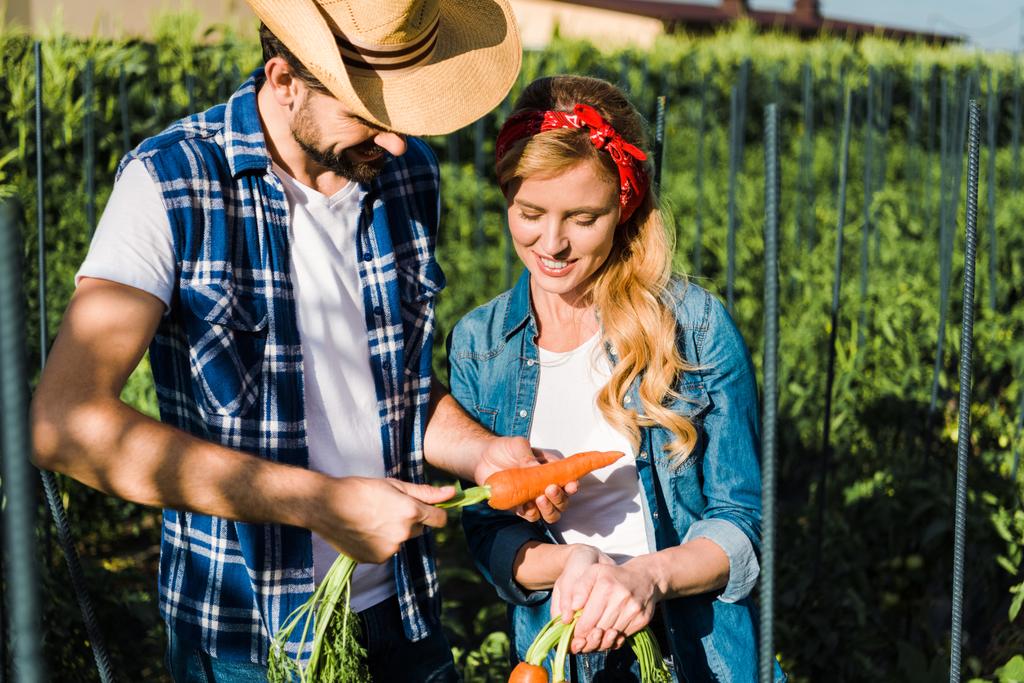 casal feliz de agricultores que possuem cenouras biológicas no campo na fazenda
 - Foto, Imagem