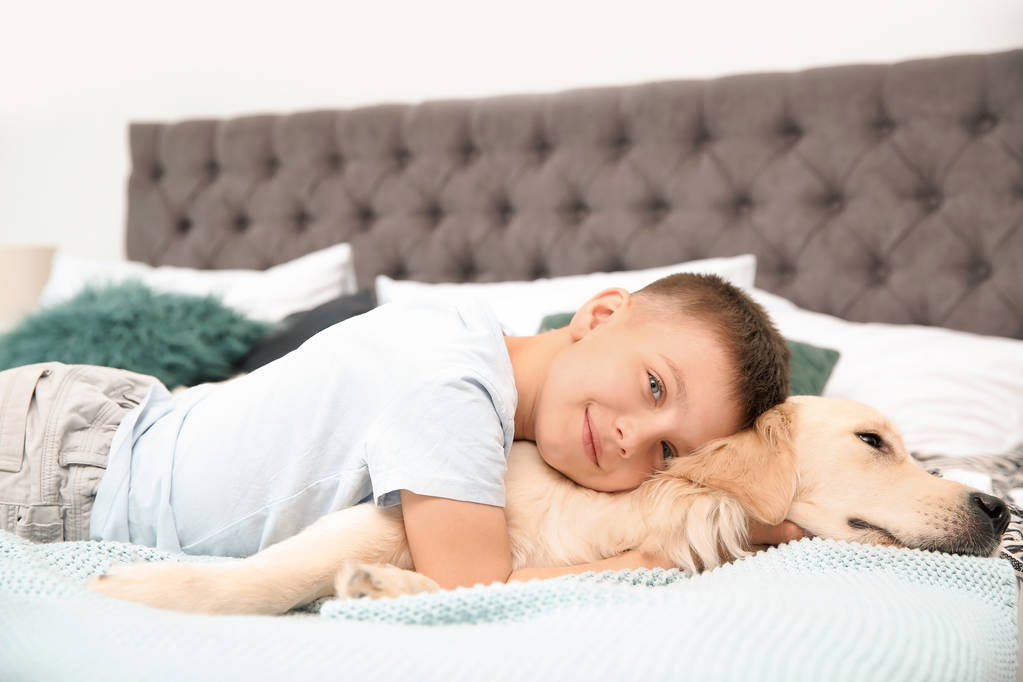 Söpö pieni lapsi lemmikkinsä kanssa sängyssä kotona
 - Valokuva, kuva