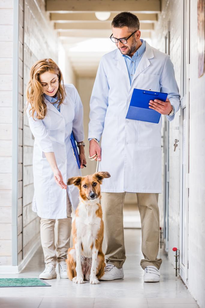 iki veterinerler hayvan hastalıklarıyla ilgili klinik koridor köpek ile ayakta - Fotoğraf, Görsel
