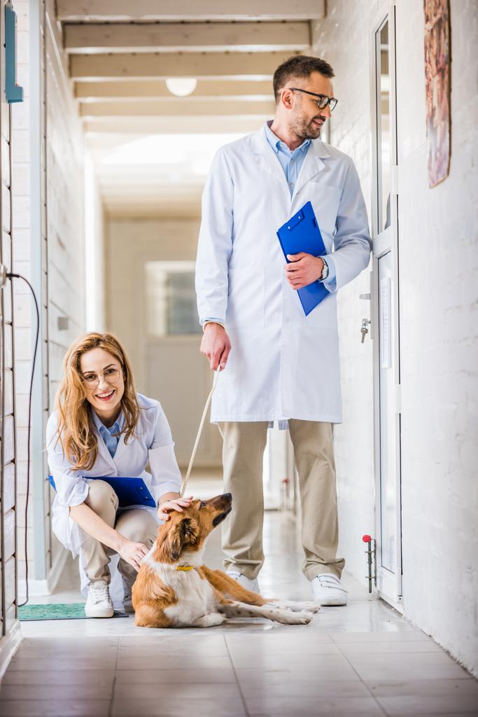 чоловічі та жіночі жилети з собакою у ветеринарній клініці
 - Фото, зображення