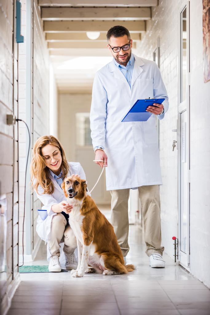 δύο κτηνιάτρους με σκύλο στην κτηνιατρική κλινική - Φωτογραφία, εικόνα
