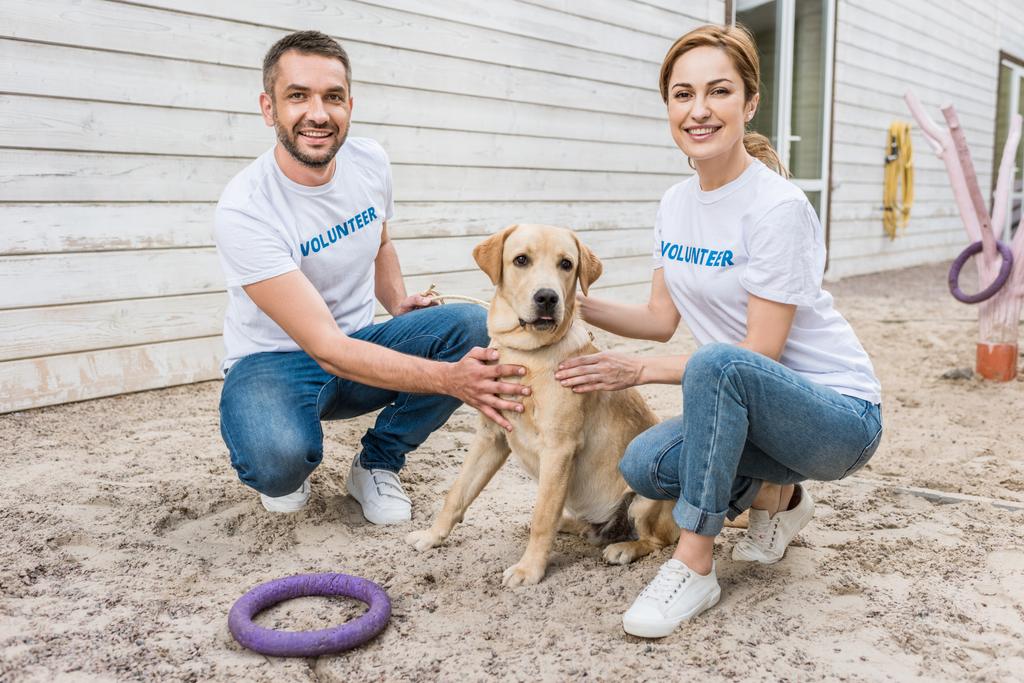 smiling volunteers of animals shelter squatting and palming labrador - Photo, Image