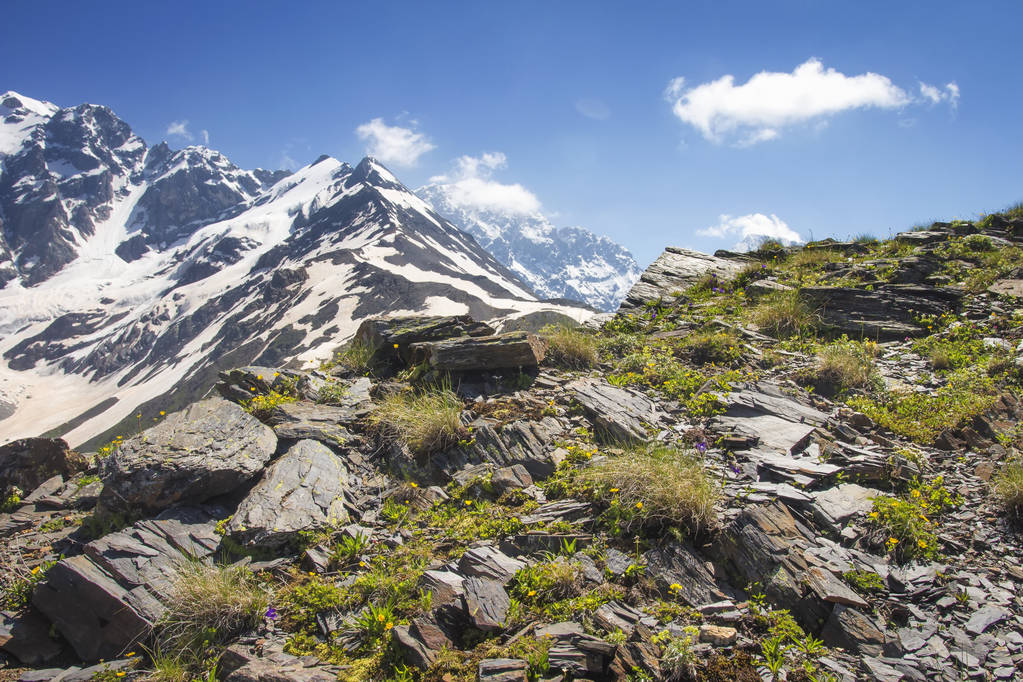 Svaneti paisaje de montañas rocosas en Georgia en el soleado día de verano. Rocas y piedras en la ladera de la montaña. Increíble vista sobre monturas nevadas
. - Foto, imagen