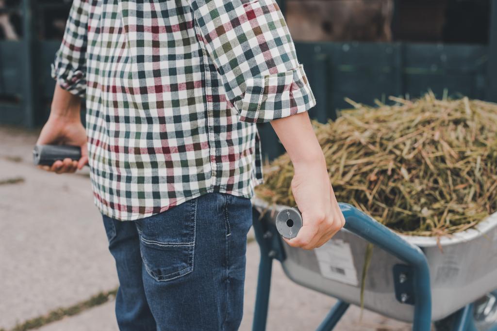 cropped shot of child in checkered shirt pushing wheelbarrow on farm - Photo, Image