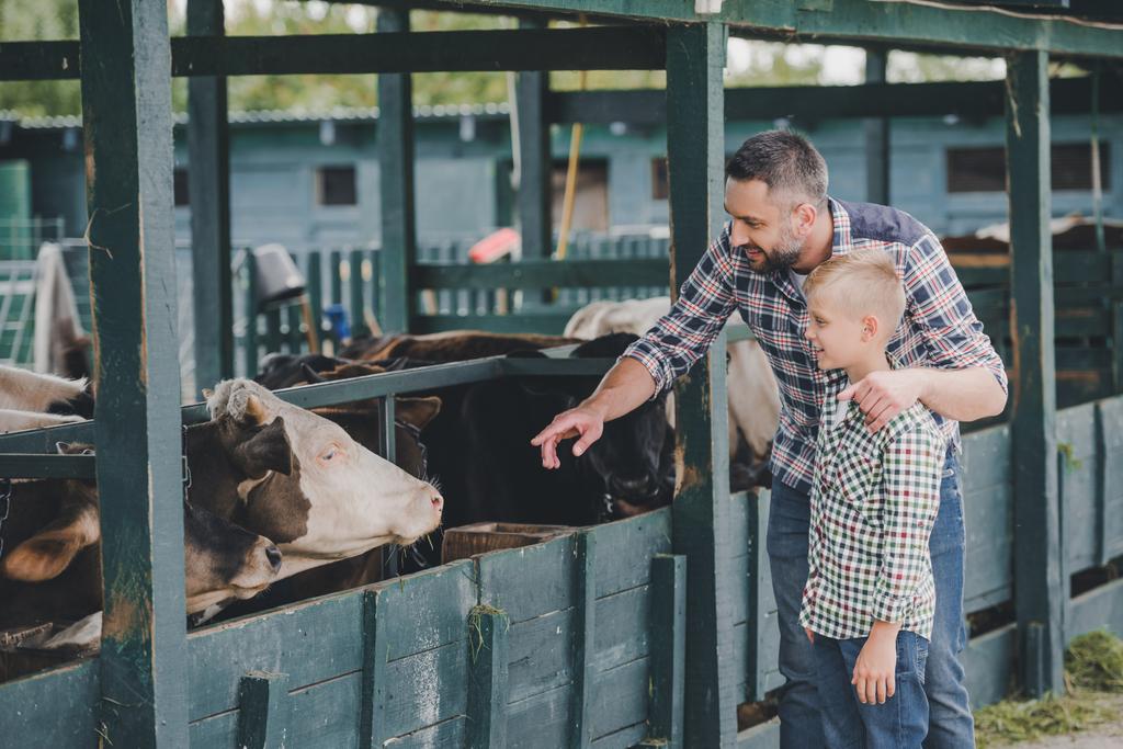 happy father and son in checkered shirts looking at cows in stall  - Photo, Image