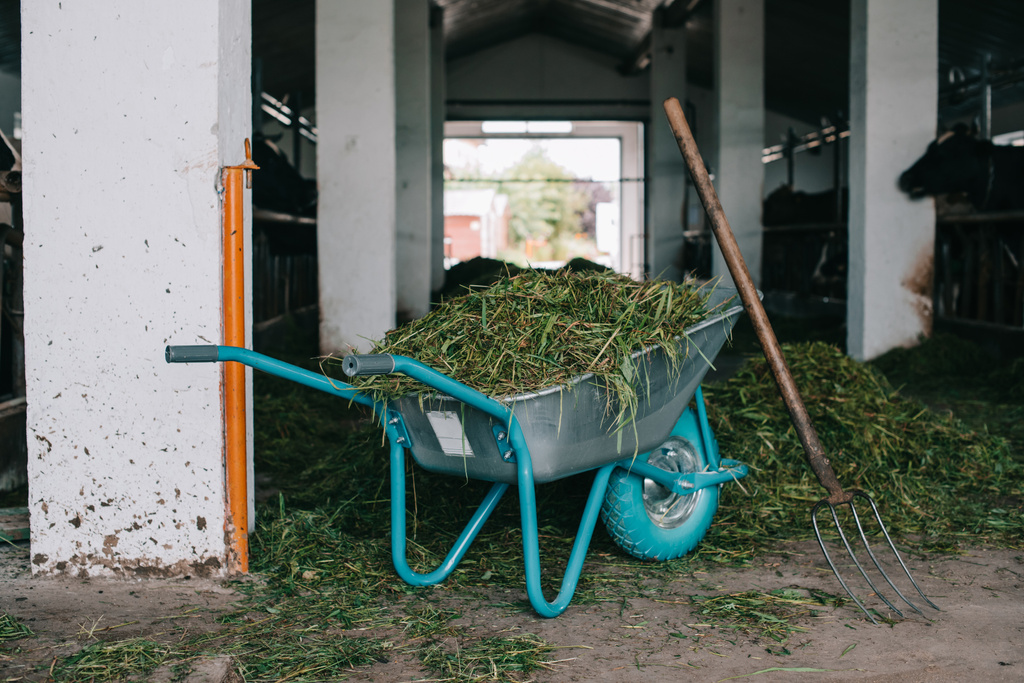kruiwagen met gras en mestvorken in stal op boerderij - Foto, afbeelding