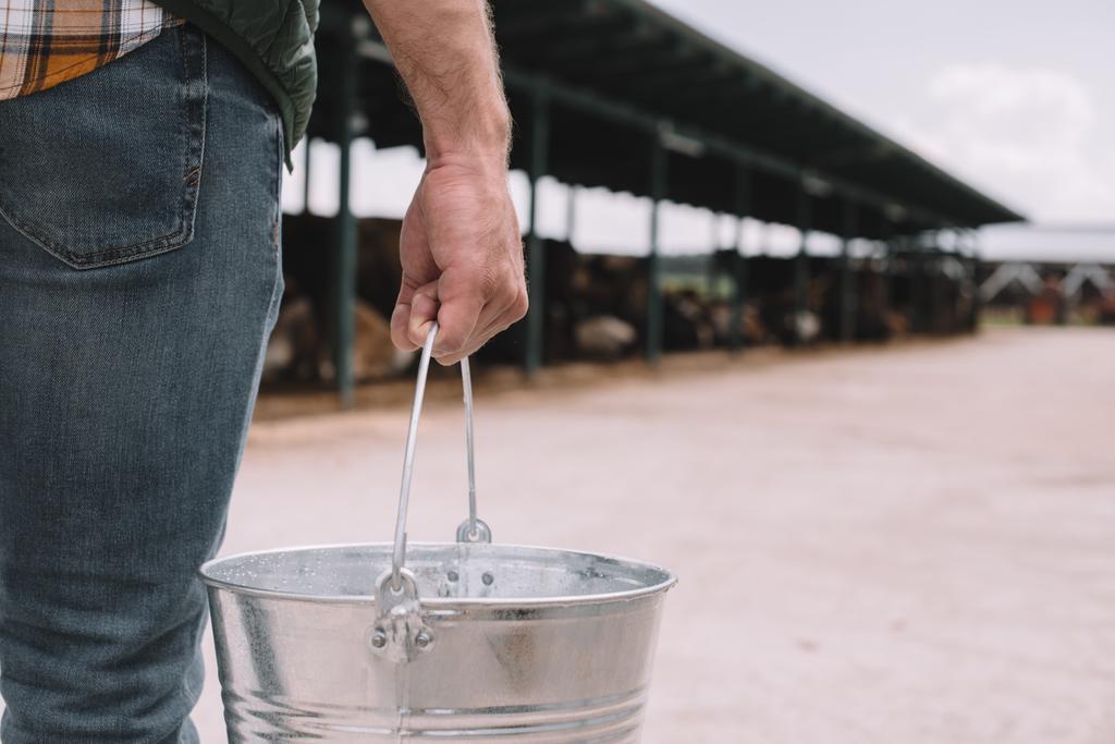close-up partial view of male farmer holding bucket at cowshed  - Photo, Image