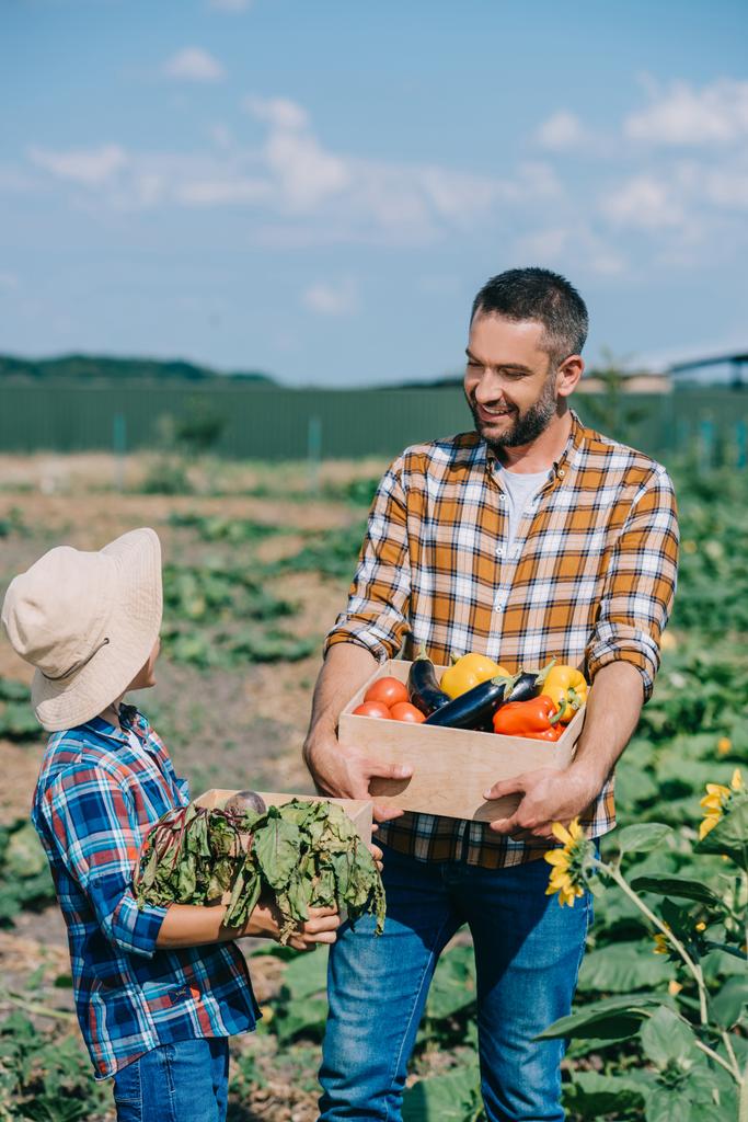 glücklicher Vater und Sohn halten Kisten mit reifem Gemüse in der Hand und lächeln einander auf dem Feld zu  - Foto, Bild