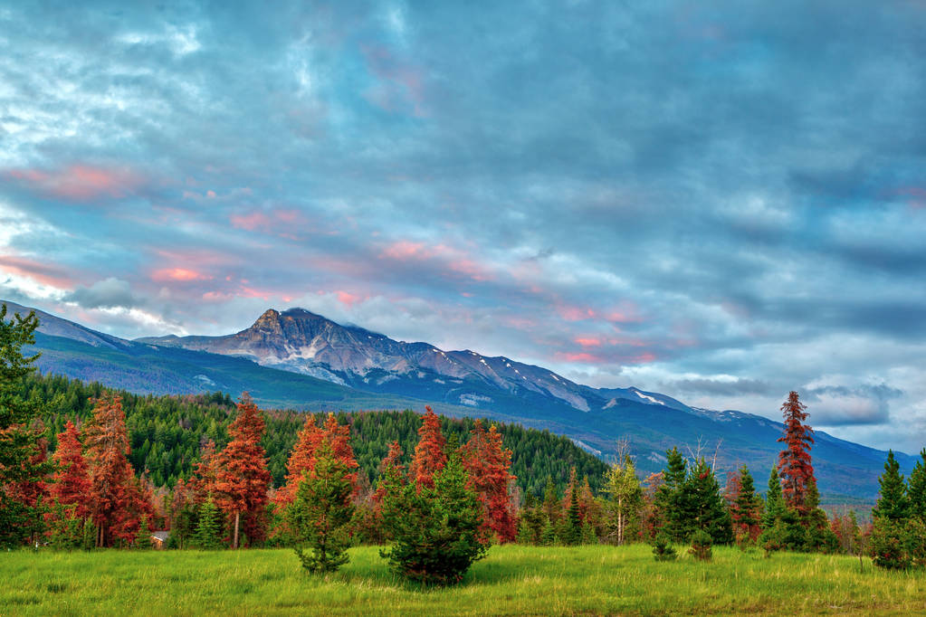 Закат над горой Текарра в национальном парке Джаспер в канадских Скалистых горах Альберты, Канада
. - Фото, изображение