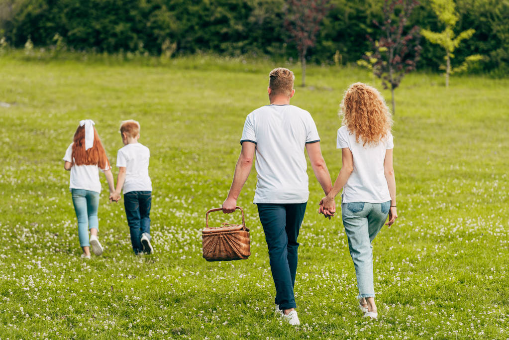 vue arrière de la famille tenant la main et marchant avec panier pique-nique dans le parc
 - Photo, image