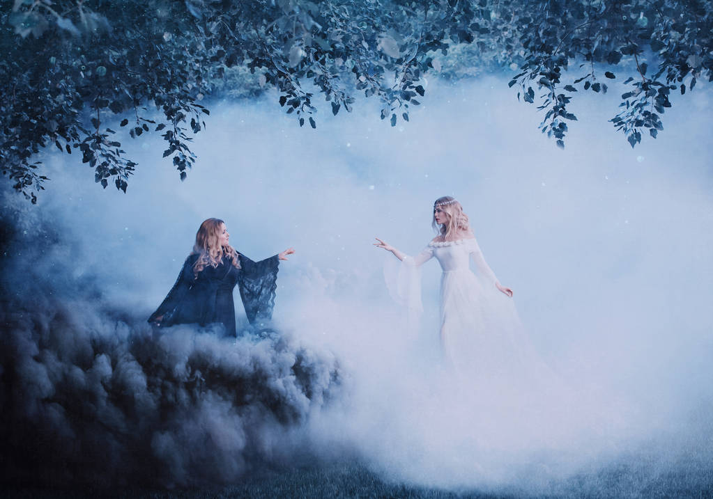 霧の中の二人の女性の陰陽。ブラック ・ マジシャンは、明るい魔女を満たしています。森で強力な魔女を想起させます。黒と白の煙。雲の中の女の子。芸術的な写真 - 写真・画像