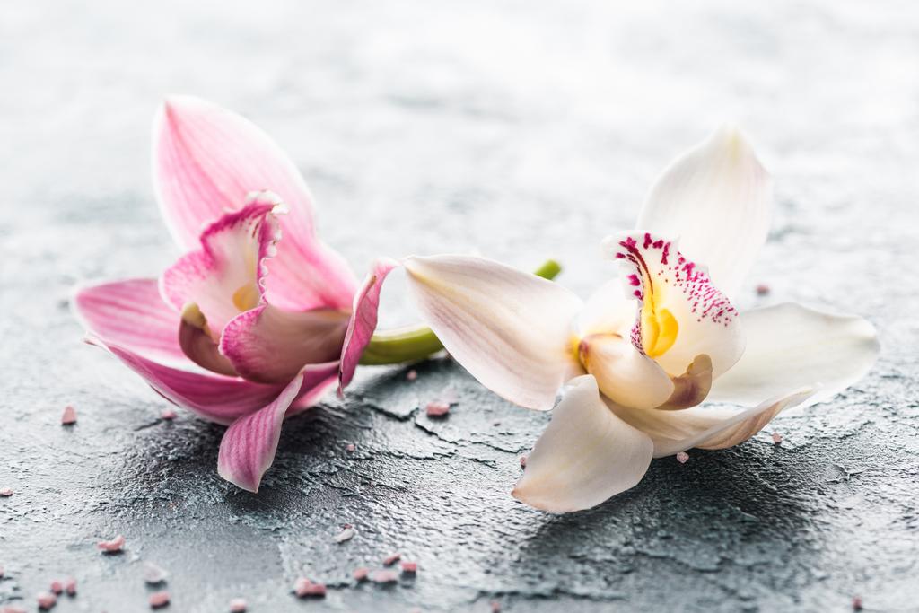 vergrote weergave van de prachtige roze en witte orchidee bloemen en zeezout - Foto, afbeelding