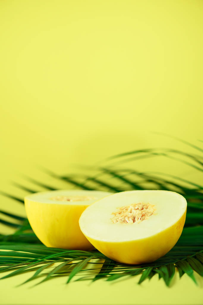 Melone dolce su foglie di palma verde tropicale su sfondo giallo. Ricevuto. Pop art design, concetto creativo estivo. Alimenti vegani crudi
. - Foto, immagini