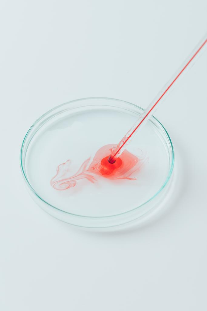 γκρο πλαν βολή του αίματος, ρίχνει από το σιφώνιο στο τρυβλίο Petri - Φωτογραφία, εικόνα