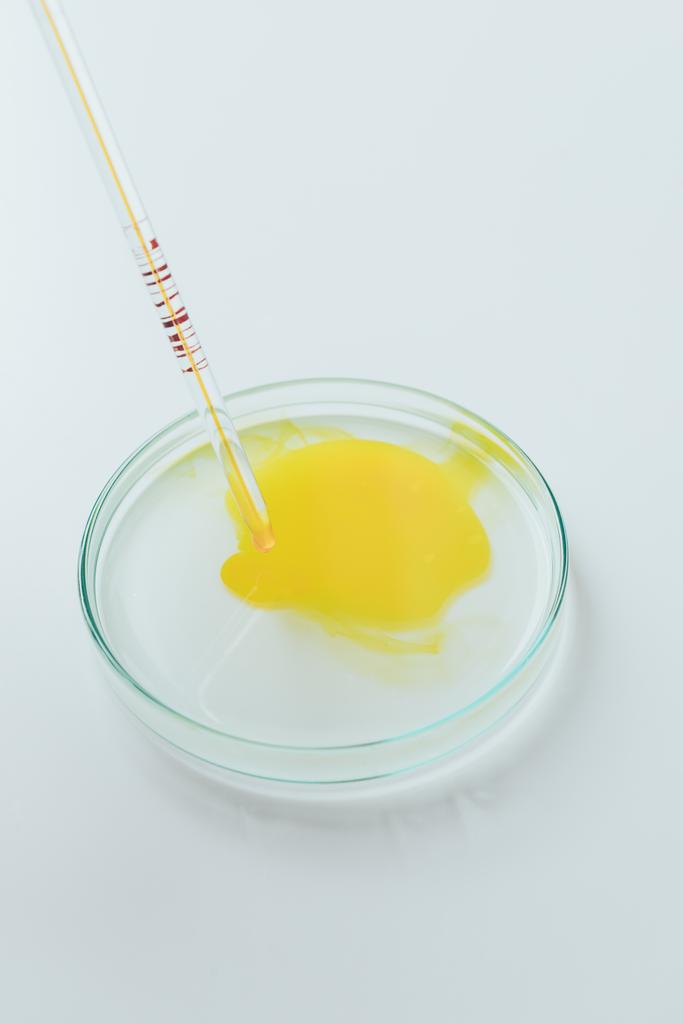 primer plano de líquido amarillo vertiendo desde la pipeta en la placa de Petri
 - Foto, Imagen