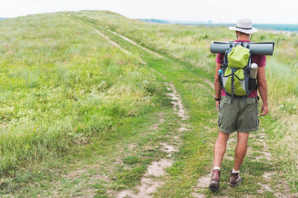 vue arrière du randonneur avec sac à dos marchant sur la prairie verte
 - Photo, image