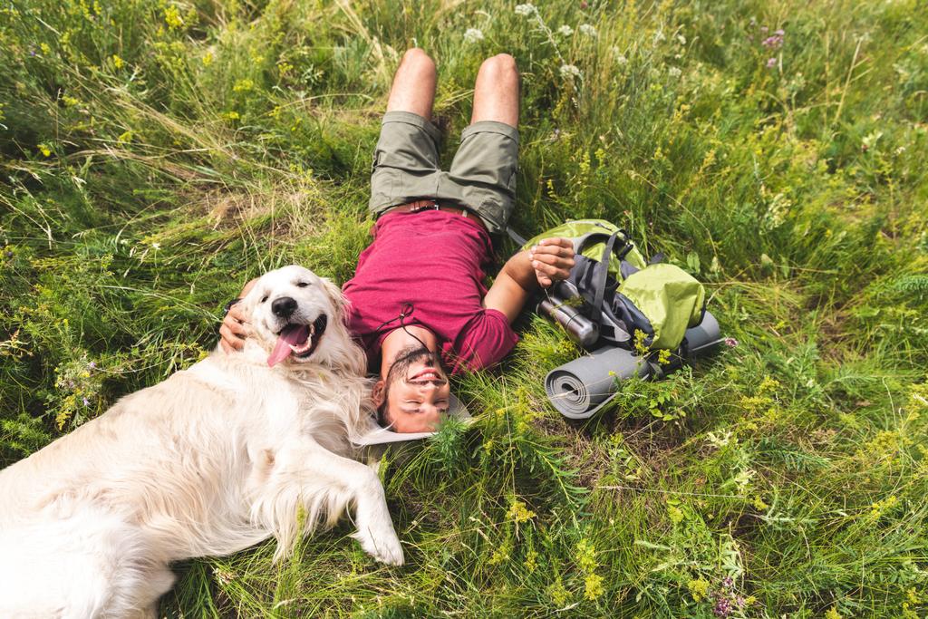 pohled shora šťastný turistické a zlatý retrívr pes ležící na zelené trávě   - Fotografie, Obrázek