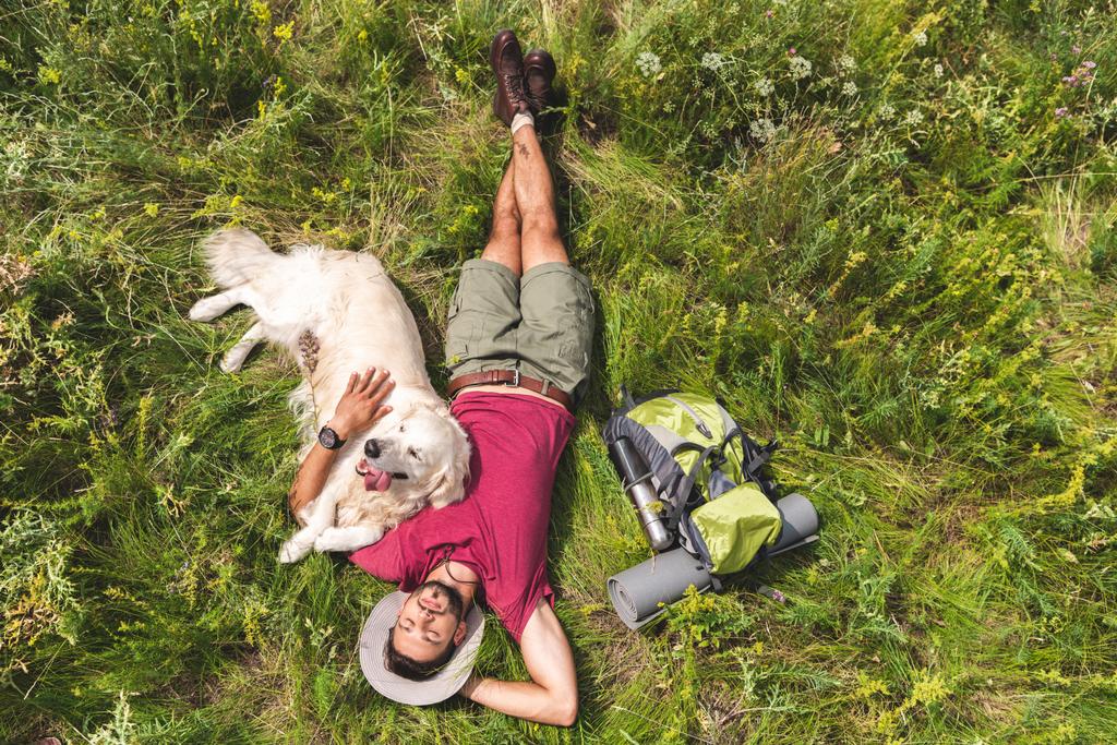 top view of tourist and golden retriever dog lying on green grass with backpack - Photo, Image