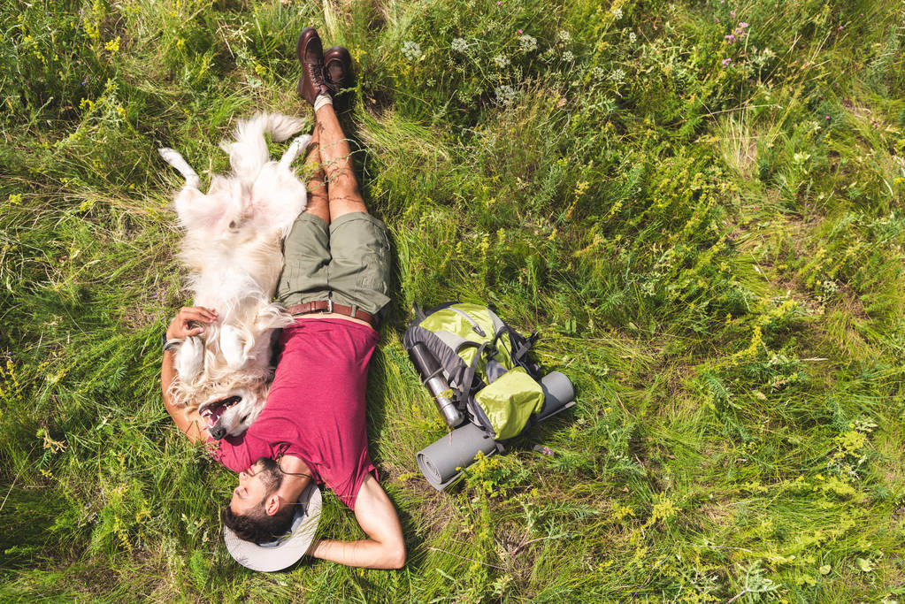 Blick von oben auf Tourist und Hund im grünen Gras liegend mit Rucksack - Foto, Bild