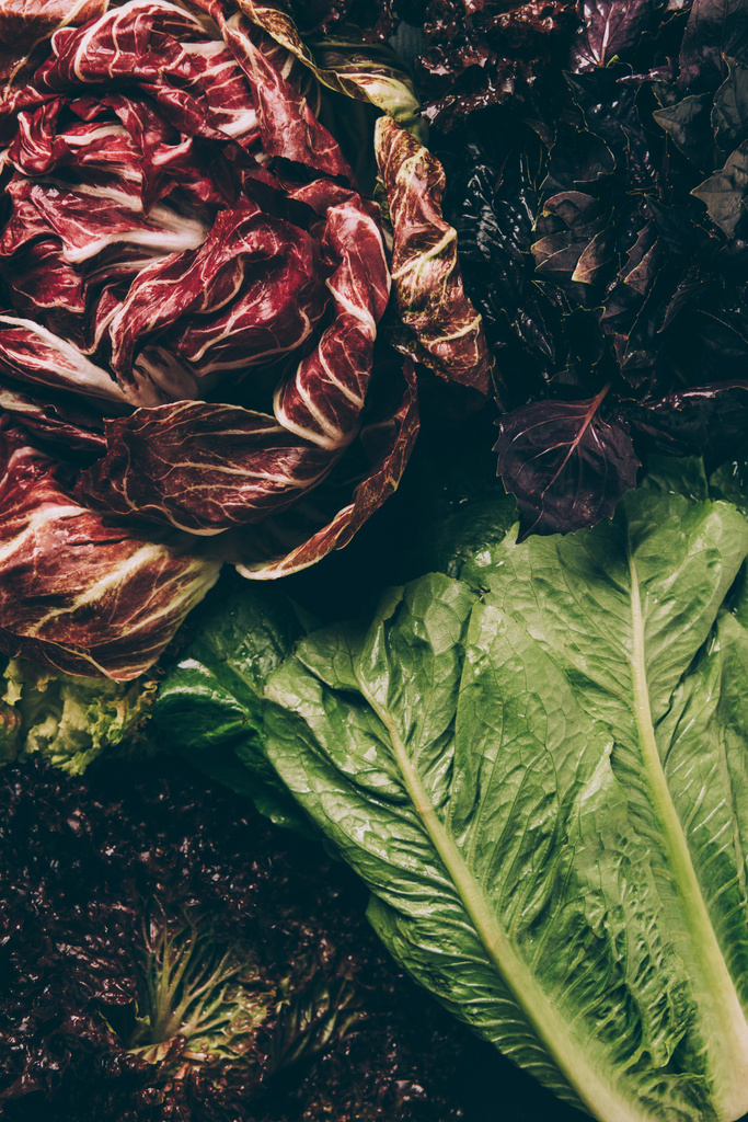 pohled shora radicchio, listy bazalky a zeleným salátem - Fotografie, Obrázek