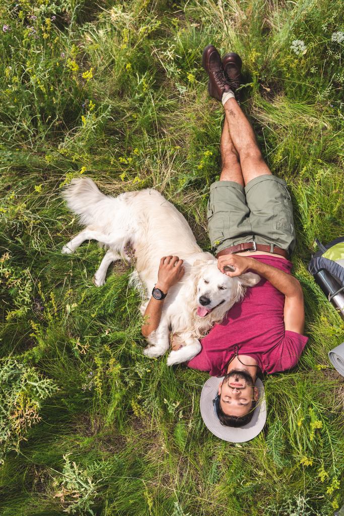 top view of tourist and golden retriever dog lying on green grass   - Photo, Image