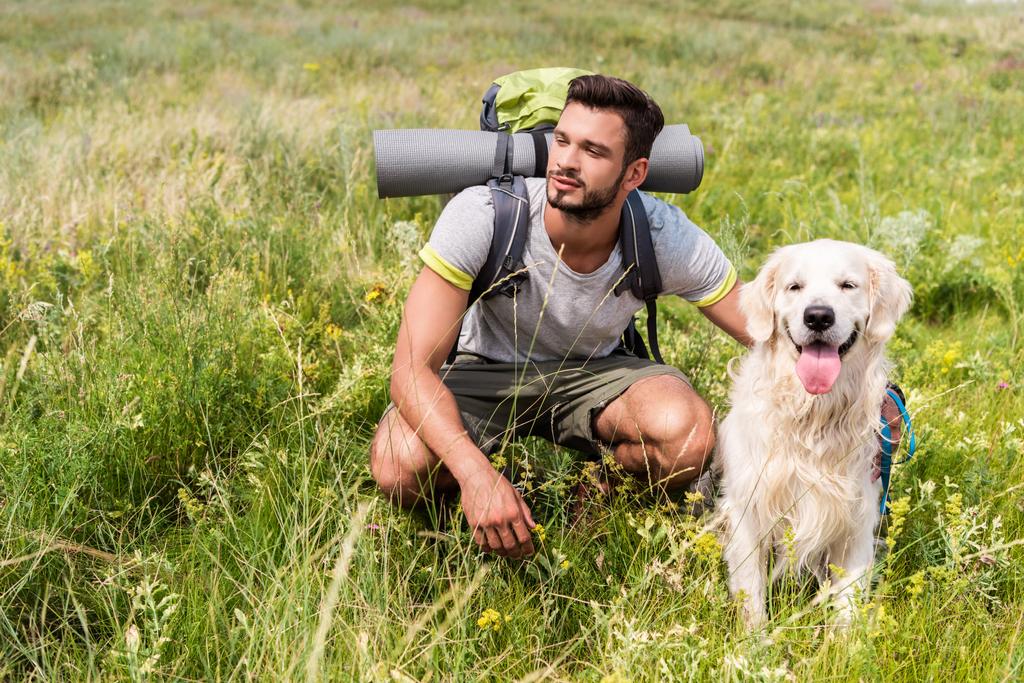 τουρίστας με το σακίδιο και το golden retriever σκύλου κάθεται στο πράσινο πεδίο - Φωτογραφία, εικόνα