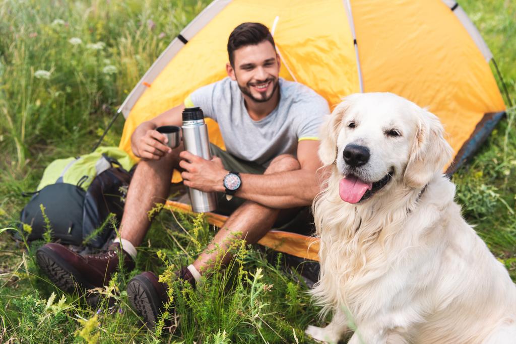 tourist with thermos sitting in yellow tent with golden retriever dog - Photo, Image