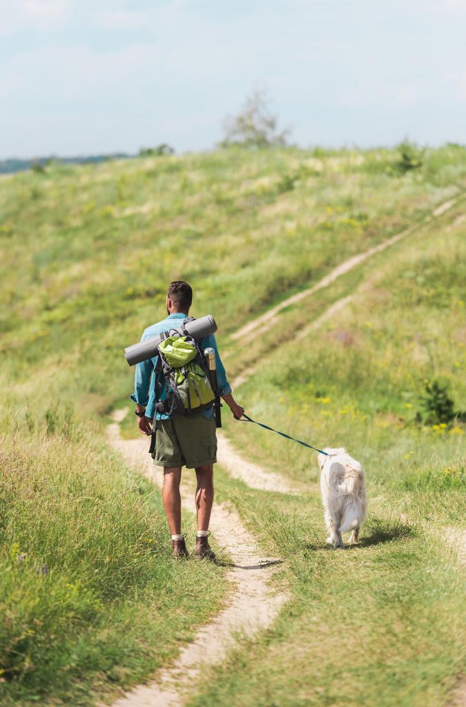 Blick zurück auf Touristen, die mit Golden Retriever-Hund auf Sommerwiese spazieren gehen - Foto, Bild