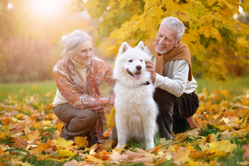 retrato de hermosa pareja mayor caucásica con perro en el parque de otoño
 - Foto, Imagen