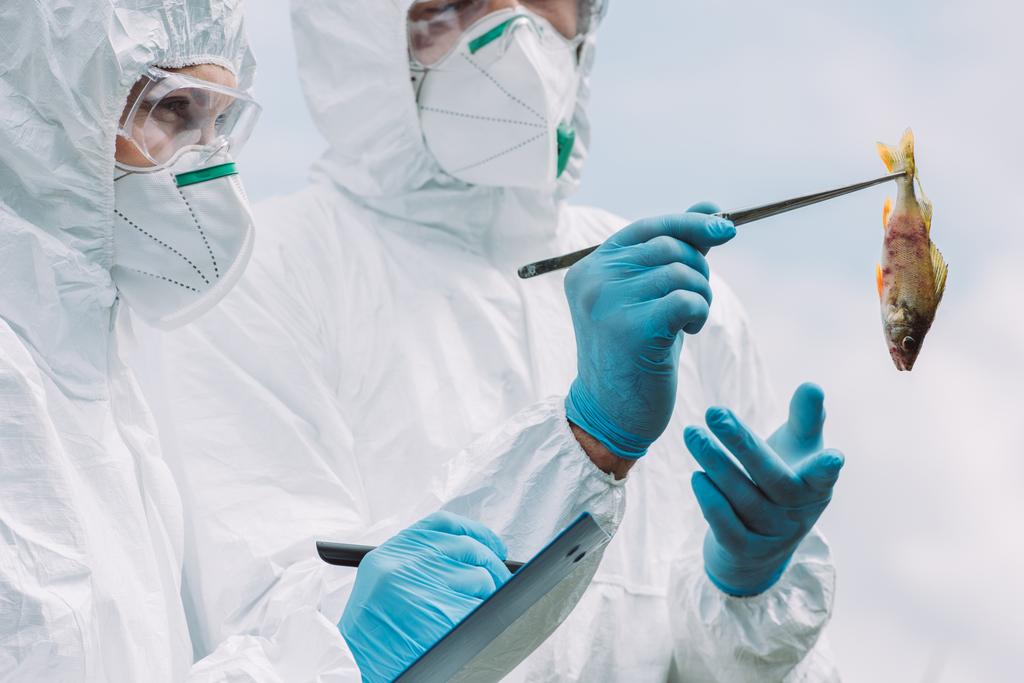 selective focus of scientists in protective masks and suits examining fish and writing in clipboard outdoors  - Photo, Image