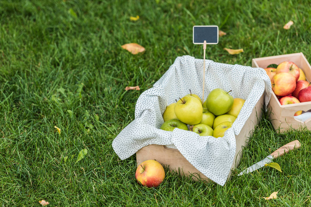 спелые свежие яблоки в коробках с биркой для продажи на зеленой траве
 - Фото, изображение