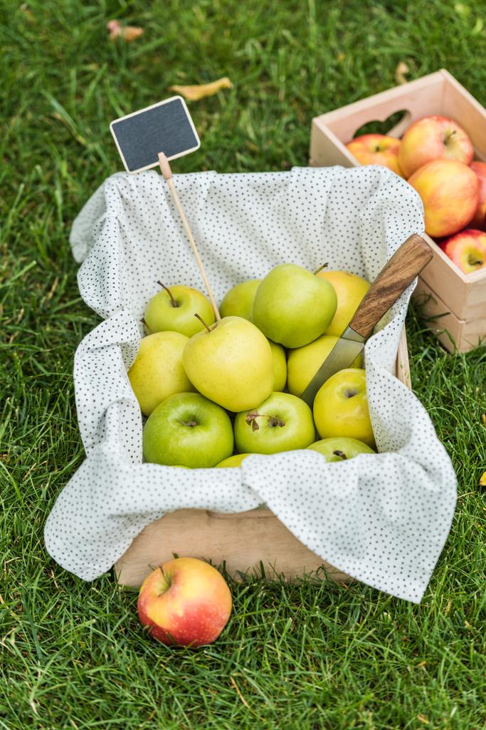grüne frisch gepflückte Äpfel in Kisten mit Anhänger zum Verkauf auf Gras - Foto, Bild