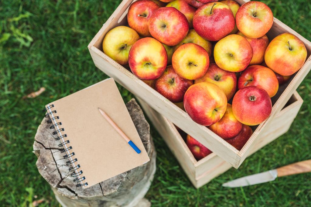 vista superior do bloco de notas com lápis e maçãs frescas colhidas em caixas com para venda
 - Foto, Imagem