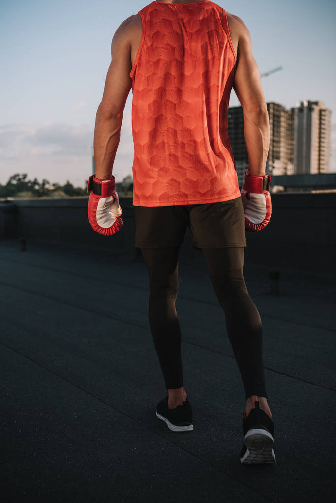 vista trasera del deportista caminando con guantes de boxeo en el techo
 - Foto, imagen