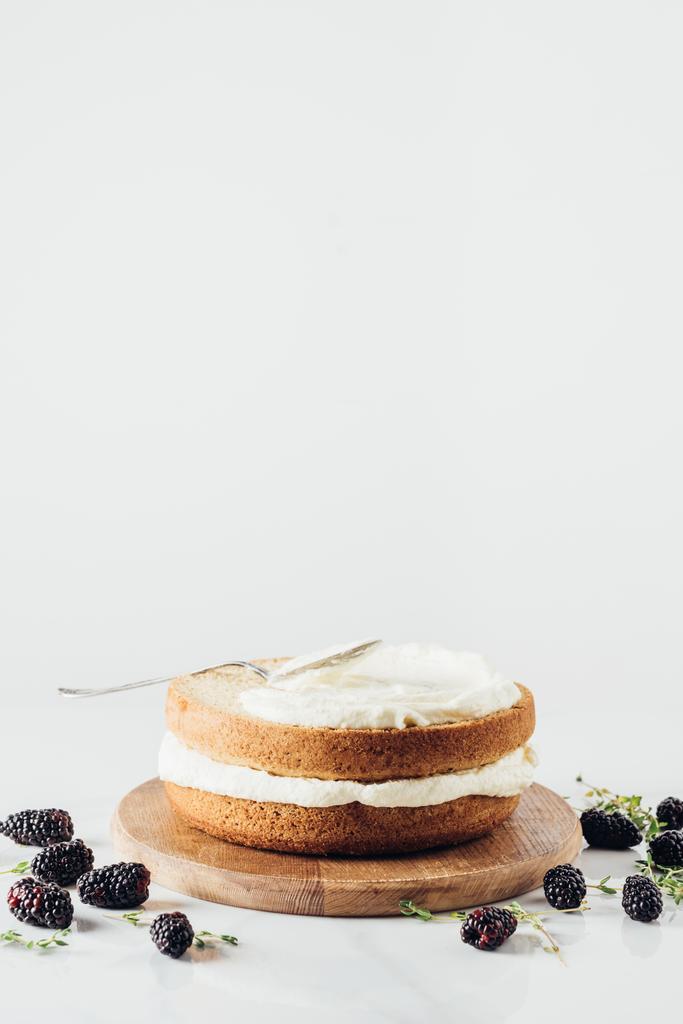 čerstvě upečený dort na dřevěné desce durrounded s ostružin na bílém - Fotografie, Obrázek